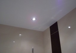 100_2138-1024x768.jpg