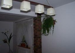 100_3639.jpg