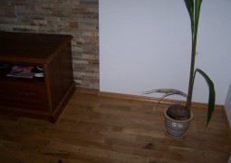 100_3761-1024x768.jpg